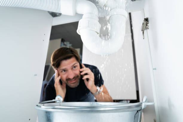 Best Commercial Plumbing Services  in Batesville, IN